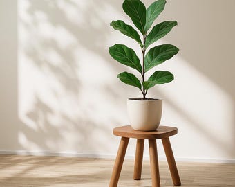 Wooden stool, Removable legs, Plant stand, Adult step stool, Natural wood, Solid wood stool, Plant stool, Home, Gift, Bathroom, Kids stool