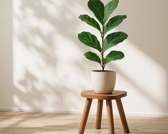 Wooden stool, Removable legs, Plant stand, Adult step stool, Natural wood, Solid wood stool, Plant stool, Home, Gift, Bathroom, Kids stool