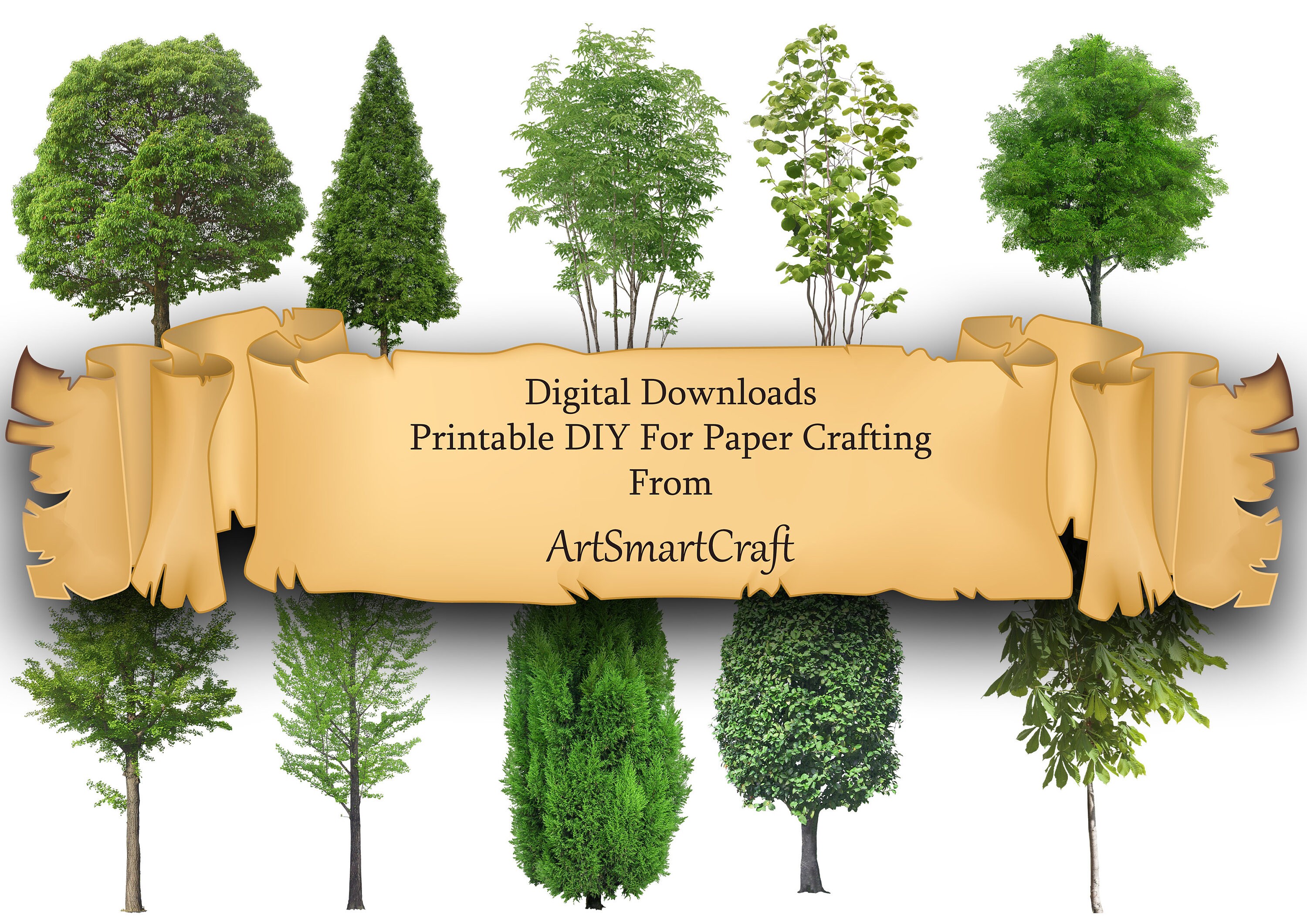 Trees on a translucent background PNG files Digital Image Etsy