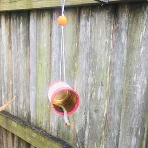 Sweet Rhubarb Bird Feeder
