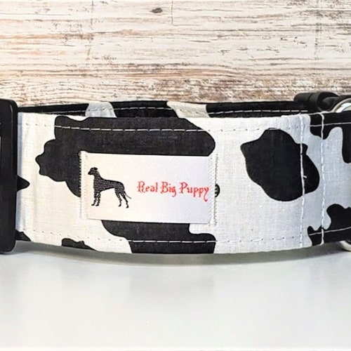 Pink Queen Bitch Dog Collar Joke Collar Profanity Collar Etsy