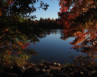 Lake View Color Photo During Autumn Foliage at Kingstowne Lake in Alexandria, Virginia