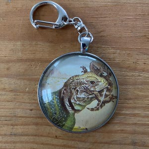 May include: A round silver keychain pendant featuring a detailed illustration of a lizard. The lizard is primarily brown and green, with a textured appearance. The pendant has a silver clasp and chain.