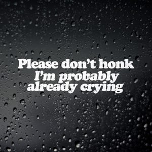 May include: White text on a black background with water droplets. The text reads, "Please don't honk I'm probably already crying."