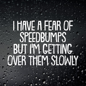 I Have A Fear Of Speedbumps Funny Car Sticker, Lowered Car Camper Van Motorhome Window Bumper Vinyl Decal
