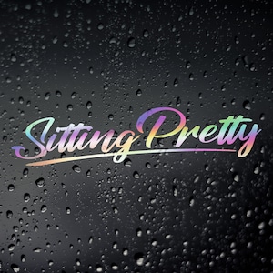 Sitting Pretty JDM Sticker, Oil Slick Stance Stanced Fitment Euro DUB Window Bumper Decal