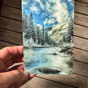 Scena invernale / Fotografia del Montana / Cartolina panoramica / Biglietto di auguri 4x6 / Foresta invernale