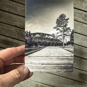 Parco nazionale di Yellowstone / Bianco e nero / 4x6 Scenic Note Card / Paesaggio panoramico / Passerella