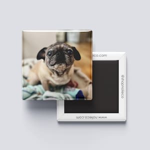 Custom Magnets | Square Photo Magnets | Refrigerator Decoration | Custom Gift Ideas | 2 inch Photo Magnets