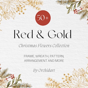 Rot & Gold Weihnachtsblumen Sammlung Clipart, Blumen Png, Weihnachtsblume, Poinsettia Blume,