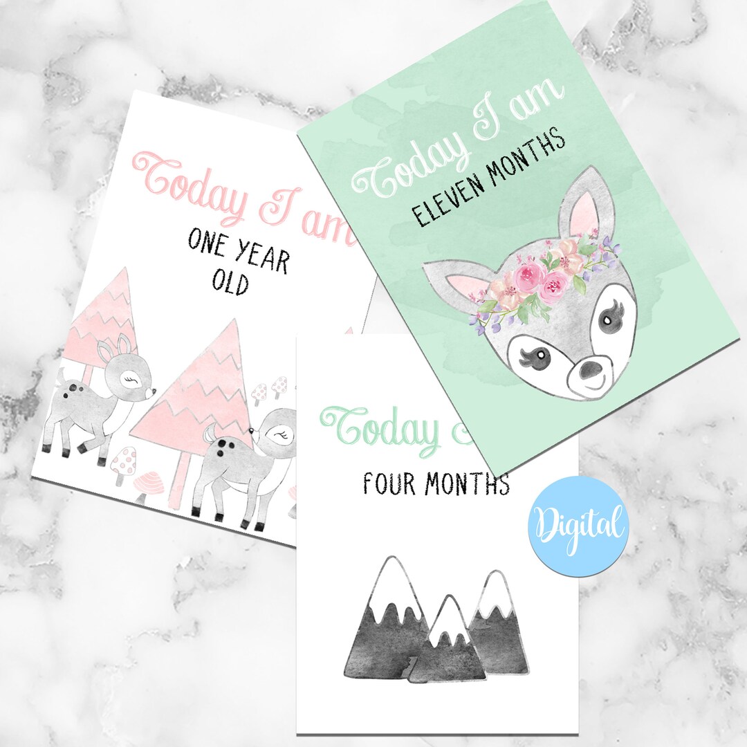 Watercolour Deer Baby Milestone and Memory Cards | New Baby | Newborn ...