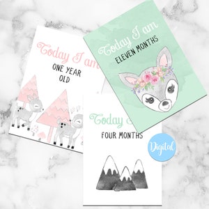 Aquarelle Deer Baby Milestone et cartes mémoire | Nouveau bébé | Nouveau-né | Document Bébé | Cadeau pour ami | Téléchargeable | Imprimer à la maison