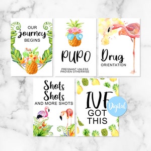 Cartes d'enregistrement d'étape d'ananas et de flamant rose de FIV | Cartes de voyage FIV | Cartes numériques FIV | Infertilité | Téléchargeable | La fertilité