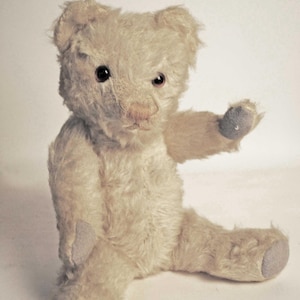 Alpha Farnell Bear - Etsy