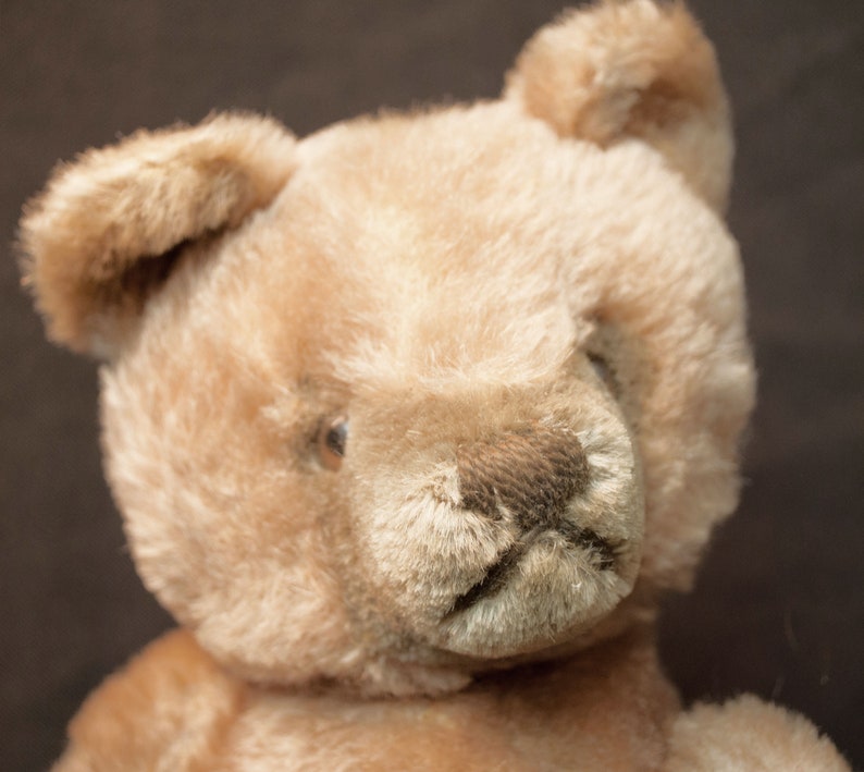 1950 teddy bear