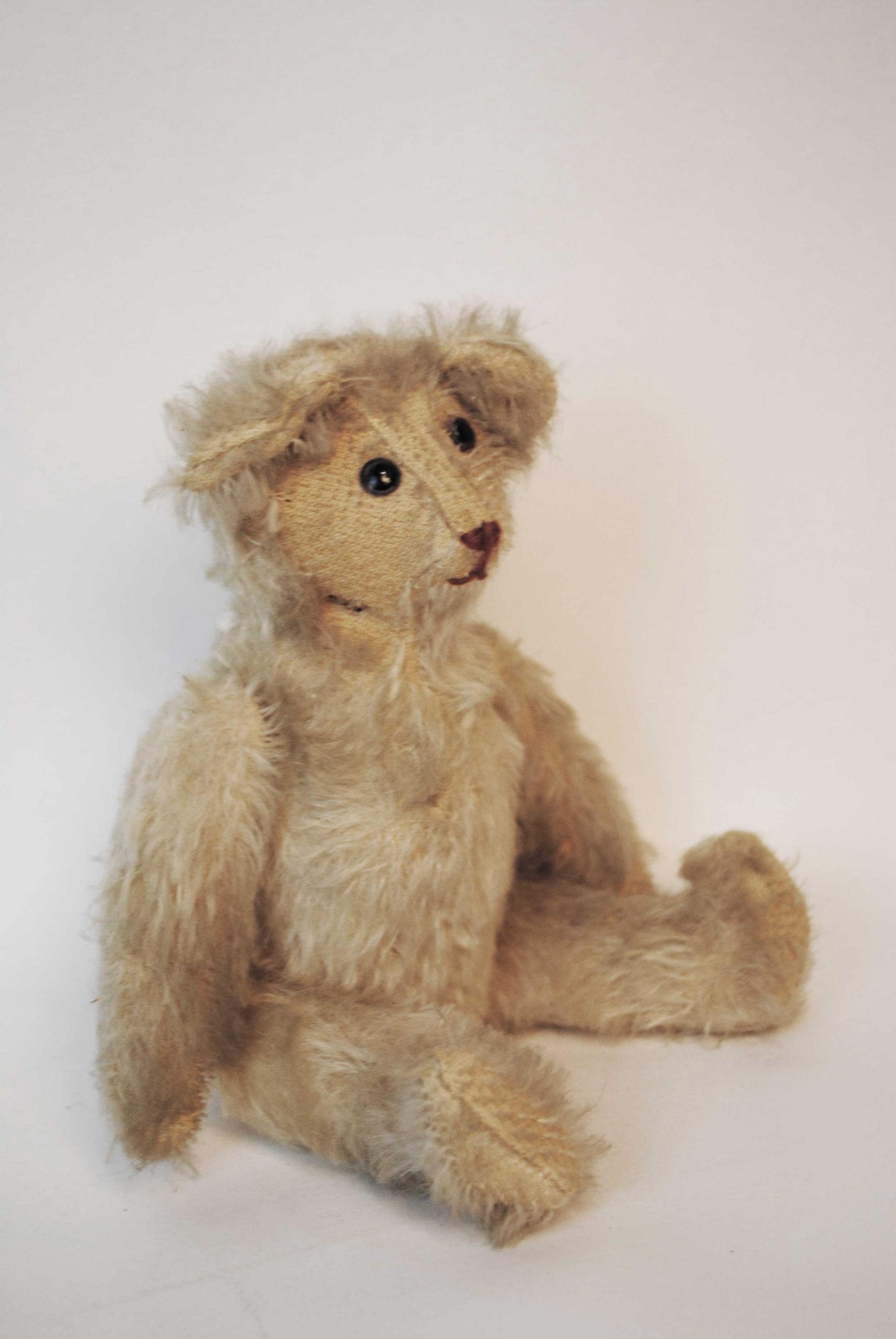 1910 Antique Bear - Etsy