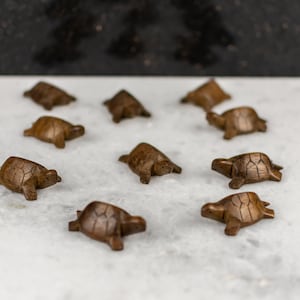 Handmade Wooden Turtle Animal Toy | Wooden Decoratives and Toys