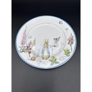 May include: A white ceramic plate with a blue rim, decorated with a detailed illustration of Peter Rabbit in a blue jacket, flowers, a snail, and a watering can. A blue bird sits on the can. Butterflies and floral elements complete the design.