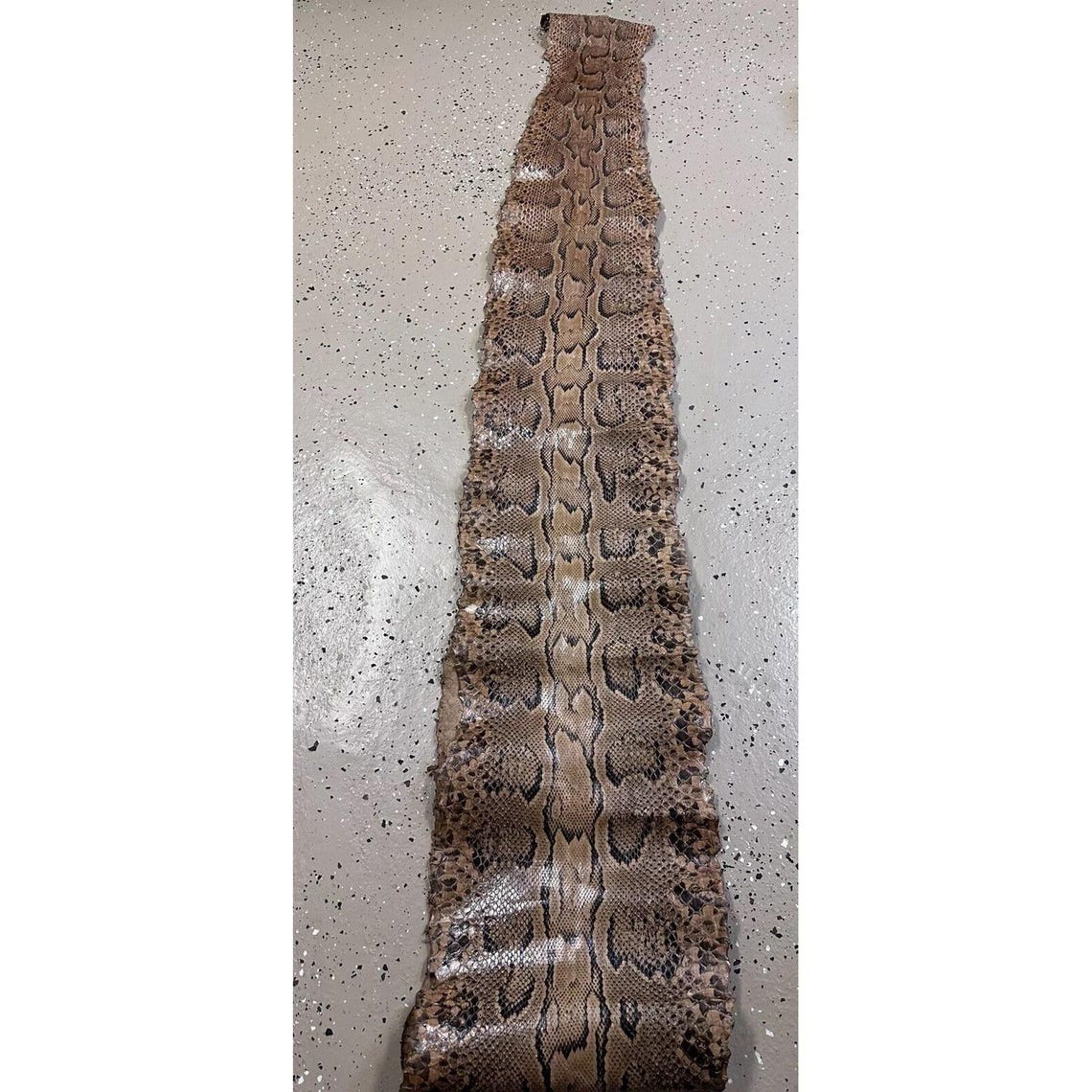 African Rock Python Skin 12' Approx, Beautiful Condition - Etsy