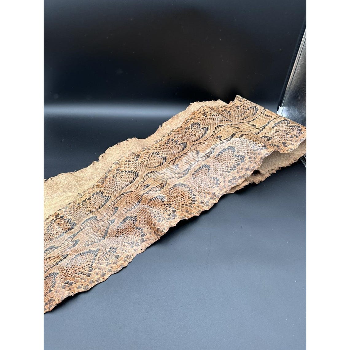 African Rock Python Skin 12' Approx, Beautiful Condition - Etsy