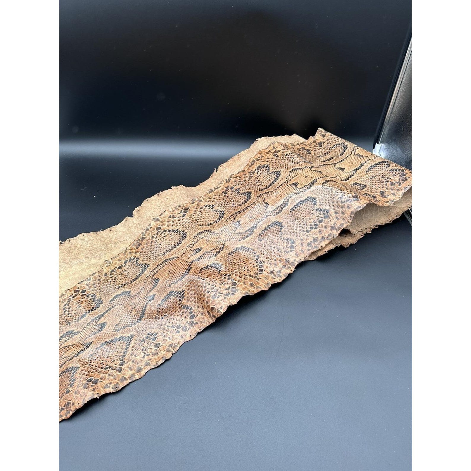 African Rock Python Skin 12' Approx, Beautiful Condition - Etsy