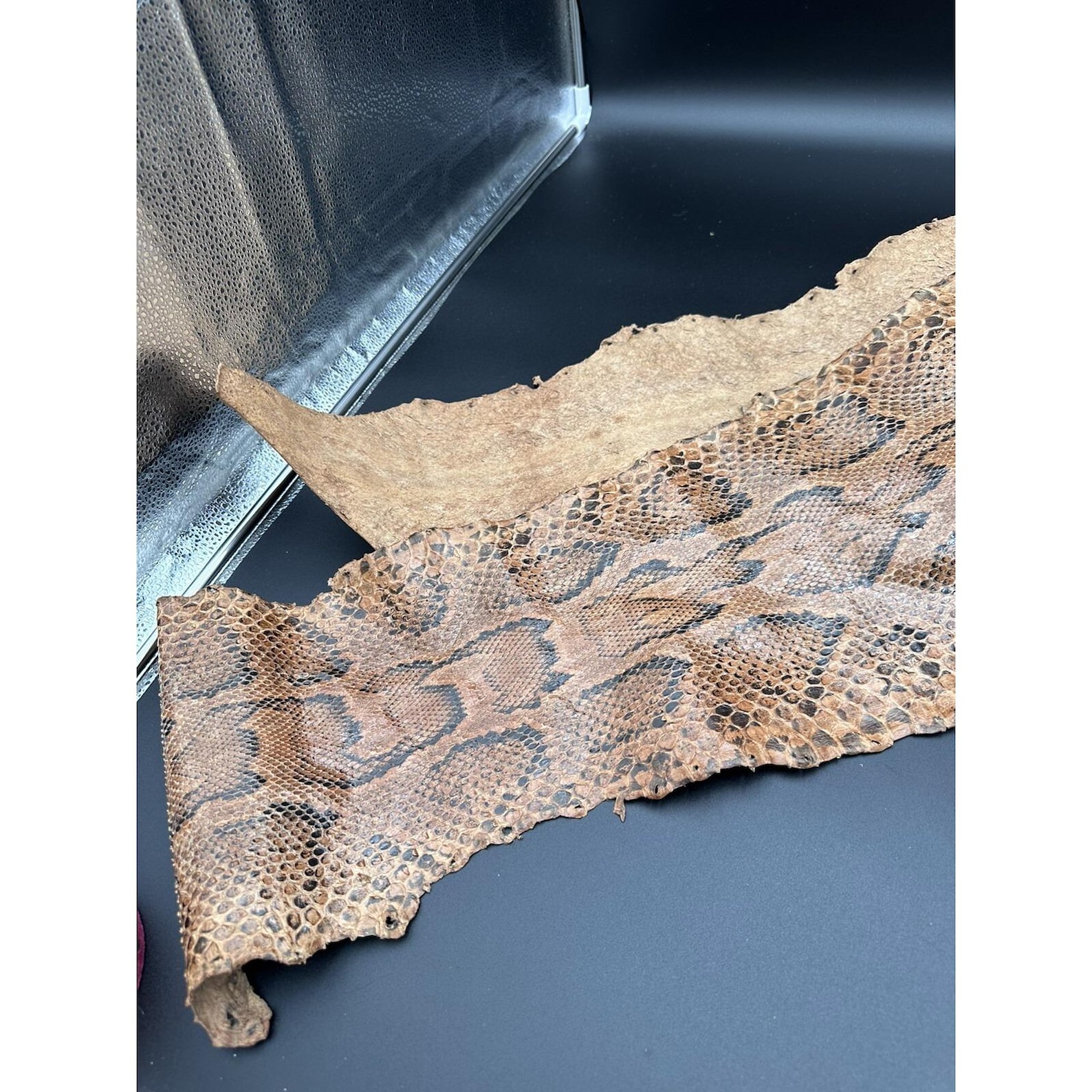 African Rock Python Skin 12' Approx, Beautiful Condition - Etsy