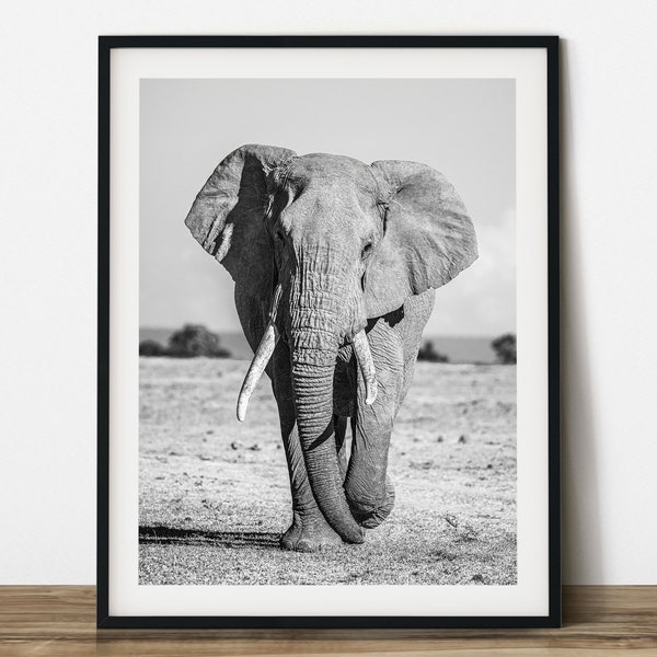 The elephant, black & white animal photography. Printable wall art. Ready made to print out for any ratio.