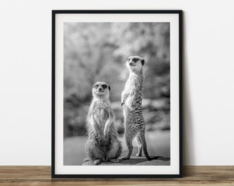 The two meerkats. black & white animal photography. Printable wall art. Ready made to print out for any ratio.