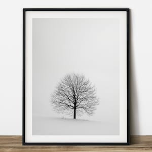 Un árbol de invierno en la colina nevada, fotografía de plantas en blanco y negro. Arte de pared imprimible. Listo para imprimir en cualquier proporción.