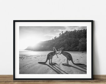 Kangaroos on beach black and white animal photography.  Printable wall art. Ready made to print out for any ratio.