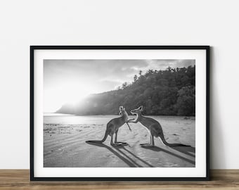Fotografía de canguros en la playa: Impresión animal en blanco y negro (descarga digital)
