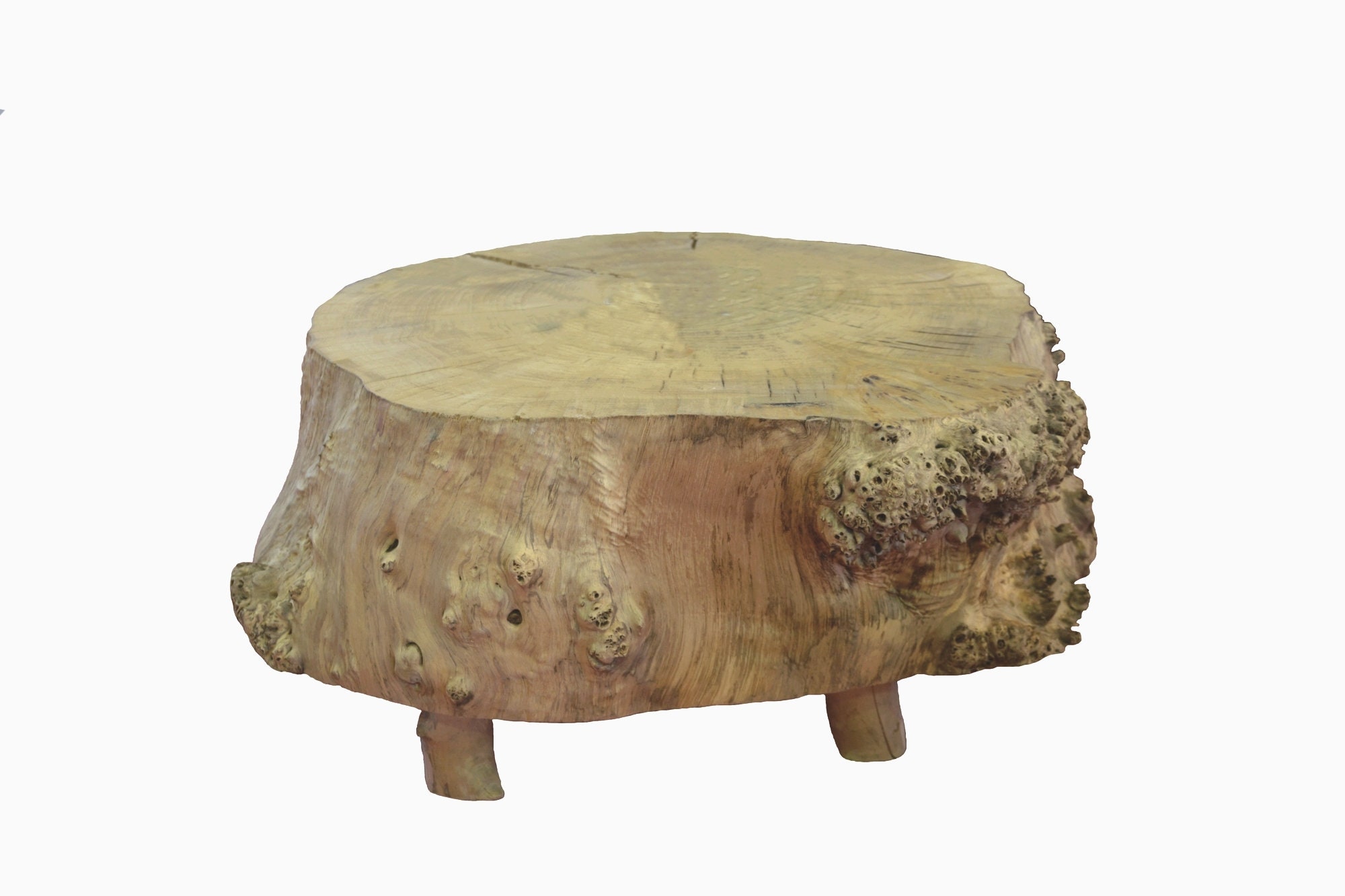 table basse Tronc Rondina