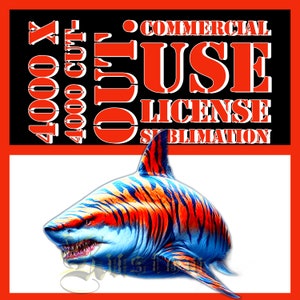 Colorful Shark Clip Art Tiger orange cut out commercial use license high resolution .png 4000 X 4000 transparent ocean sea creatures biology