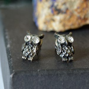 Pode incluir: Um par de brincos de tarracha em forma de coruja, feitos de metal prateado escuro e envelhecido. Cada coruja apresenta dois cristais transparentes redondos e facetados como olhos, com detalhes texturizados de penas no corpo e nas asas.