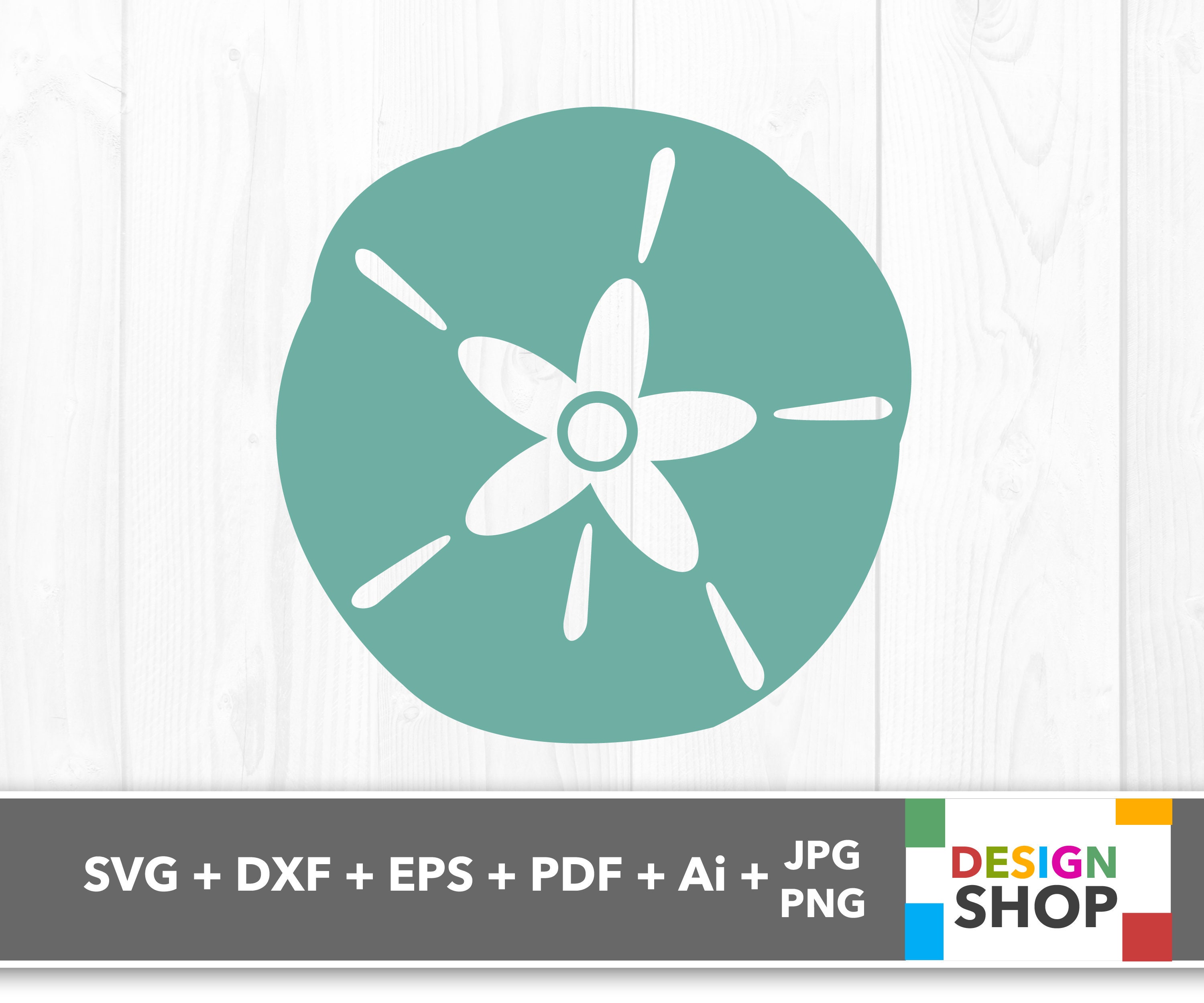 Sand Dollar Svg Sanddollar Svg Sand Dollar Clipart Sand Etsy