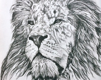 Leijona - Lion, A4 Print, 10 piece-limited edition. *Signed and numbered*.