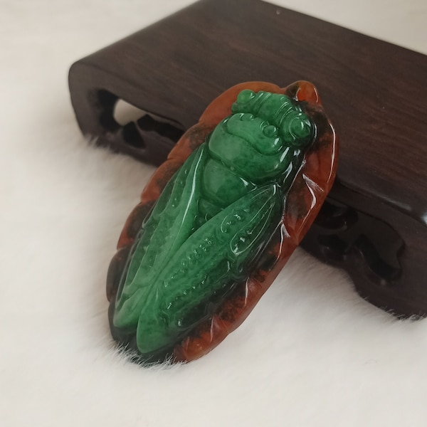 Chinese bicolor  jade  cicada  amulet  pendant A173