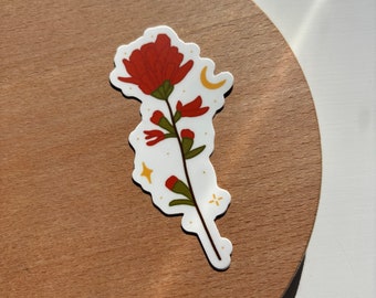 indian paintbrush wildflower Vinyl Sticker