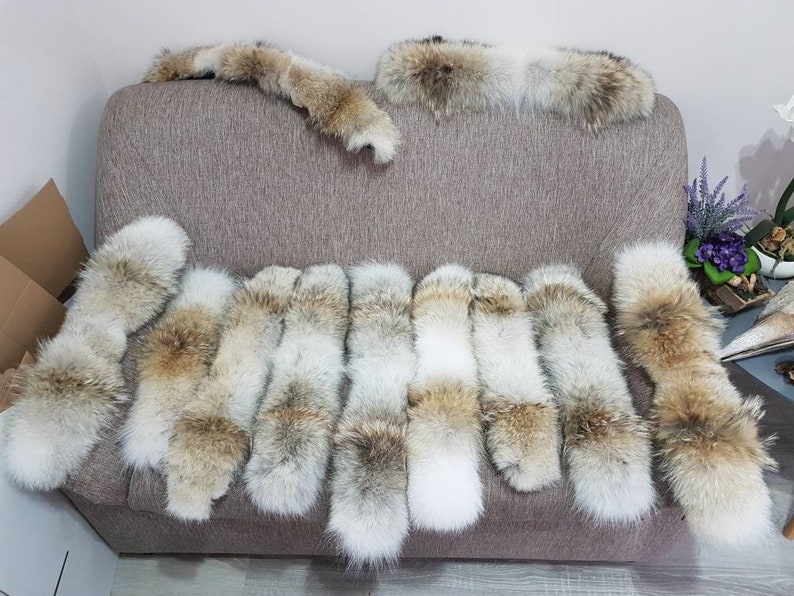 Coyote fur trim for Canada Goose all models with YKK zippers same as CG and for top brands jackets...Premuim fur from Canada. image 6