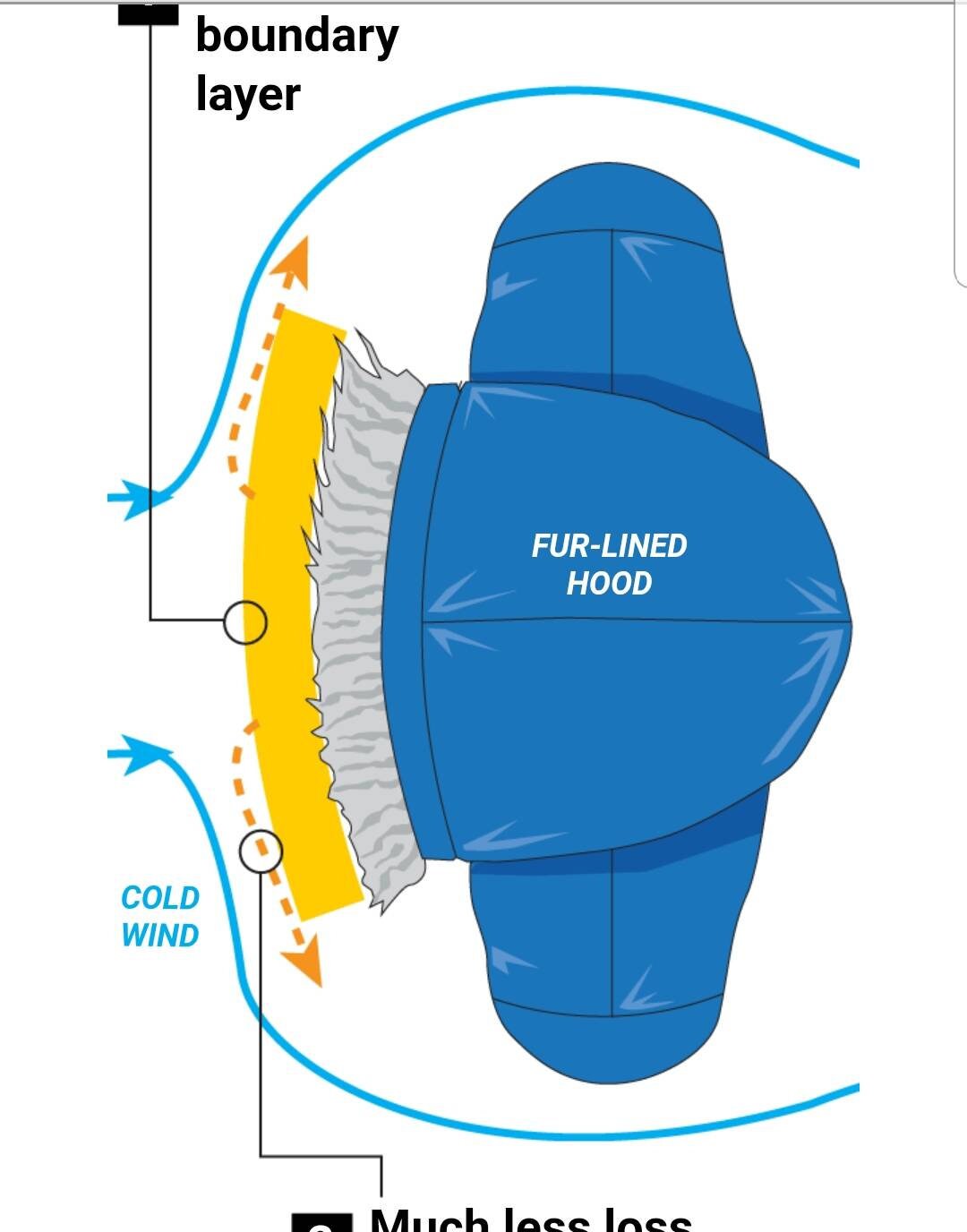 Coyote Fur Trim for Canada Goose With YKK Zippers Same as CG Etsy UK