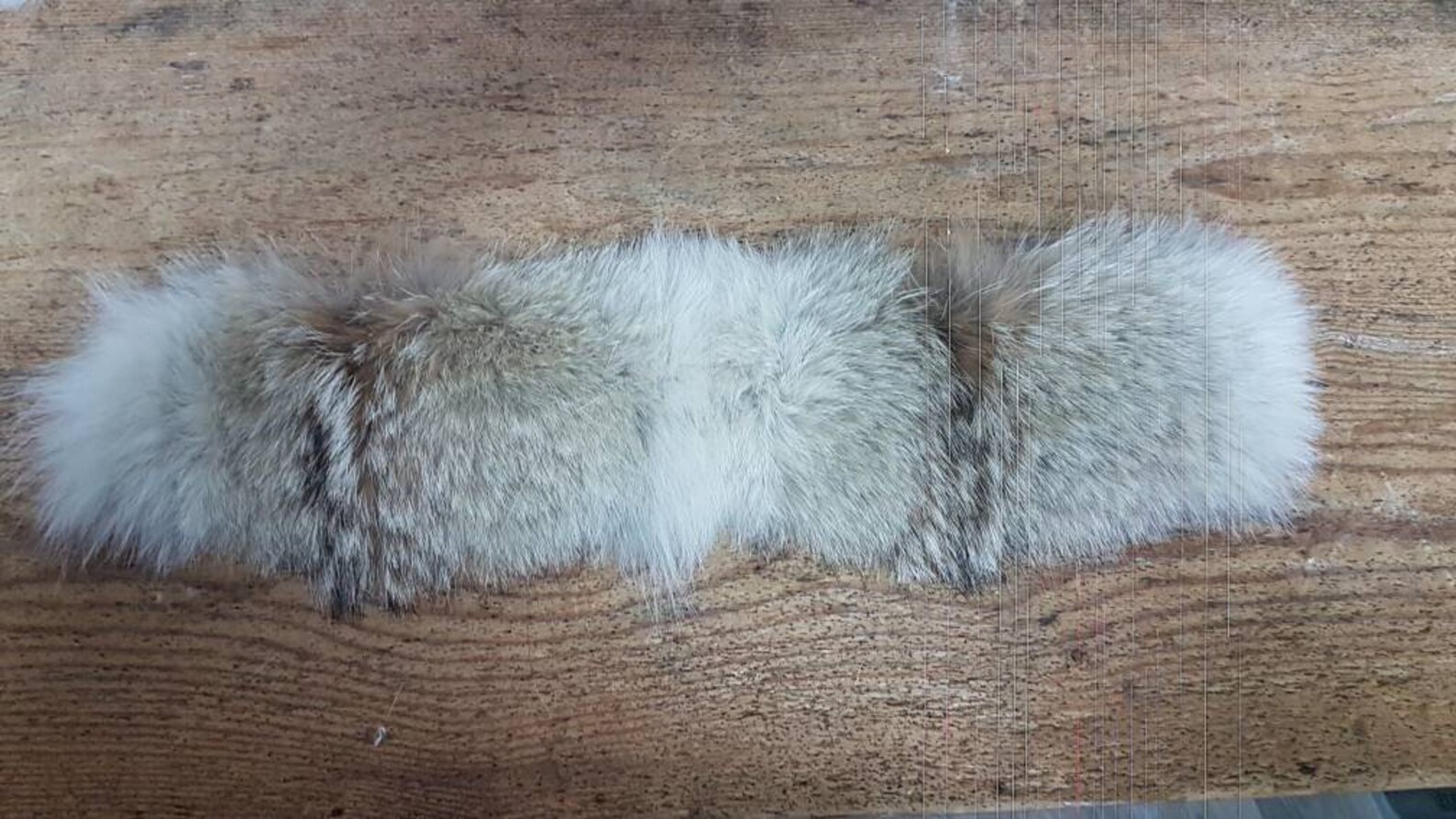 Coyote Fur Trim for Canada Goose With YKK Zippers Same as CG Etsy UK