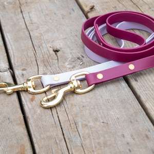 5/8” Biothane Dog Leash