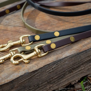 3/8” Biothane Dog Leash