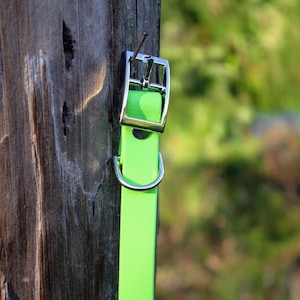 3/4&quot; Biothane Dog Collar