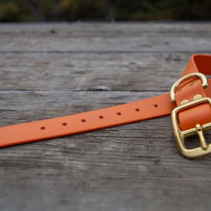1" Biothane Dog Collar