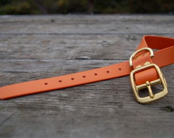 1" Biothane Dog Collar