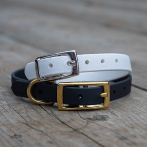 1/2&quot; Biothane Dog Collar