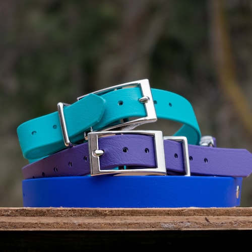 3/4 Quick Release Bungee Ecollar Strap Etsy