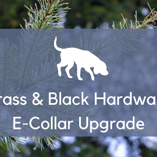 E-Collar Upgrade: Brass or Black Hardware