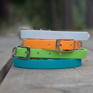 3/8&quot; Biothane Dog Collar